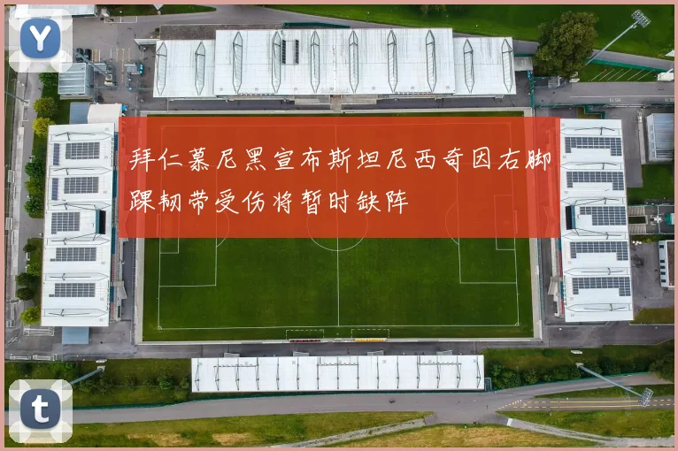 拜仁慕尼黑宣布斯坦尼西奇因右脚踝韧带受伤将暂时缺阵
